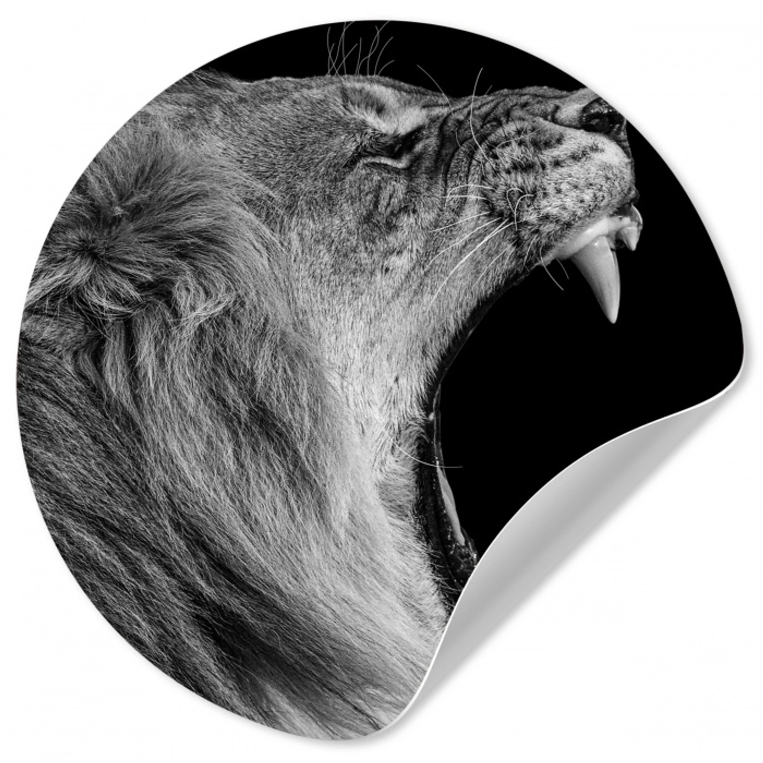 Dieren - Leeuw - Zwart - Wit - Portret Wandcirkel behangsticker klein -3d