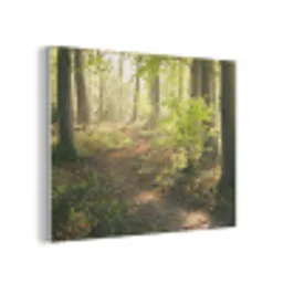 Bos - Bomen - Pad - Zon - Planten - Bladeren - Natuur PET vilt klein -3d