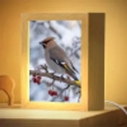 Pestvogel - Bessen - Winter - Natuur Light Box met kabel (Kinderlampje) klein -zzzz_3d_website