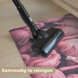 Flamingo - Roze - Dieren Deurmat klein -reinigen_NL