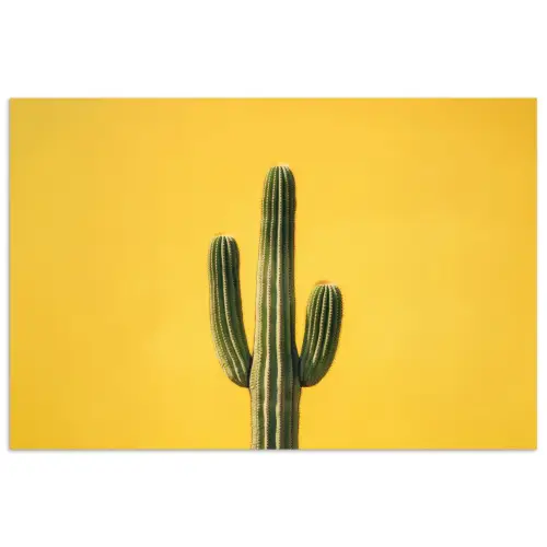 Cactus - Groen - Minimalistisch poster papier klein -3d