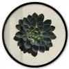 Rozet - Cirkelvormig - Donkergroen Fotolijst rond zonder passe partout klein -3d