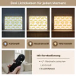 Taxi - Iconisch - Geel Light Box met batterij (Wandlamp) middel 907 -USP_lichtkleurDE