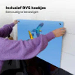 Papagaai - Vliegen - Blauw - Geel Inductie beschemer met haakjes klein -ky-ophangen-nl