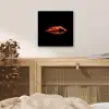 Kreeft - Oranje - Zwart - Opvallend aluminium wit klein -sfeer3