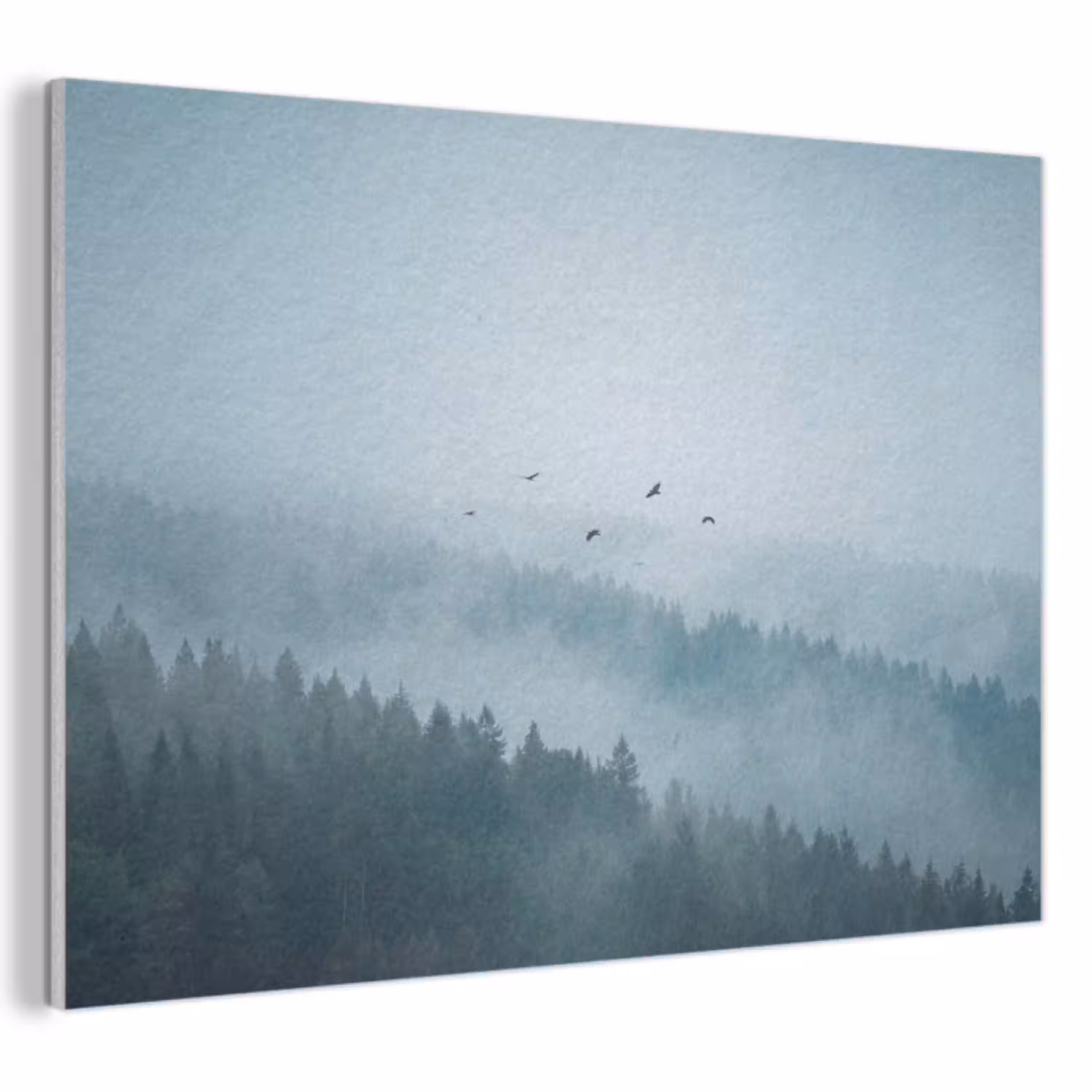 Bos - Mist - Vogels - Natuur - Groen PET vilt klein -3d