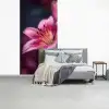 Roze - lelie - Dauwdruppels fotobehang vinyl groot -slaapkamer