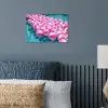 Strandballen - Roze - Water poster papier klein -sfeer2