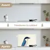 Illustratie - Blauw - Vogel keuken achterwand spatscherm klein -voor_na_FR