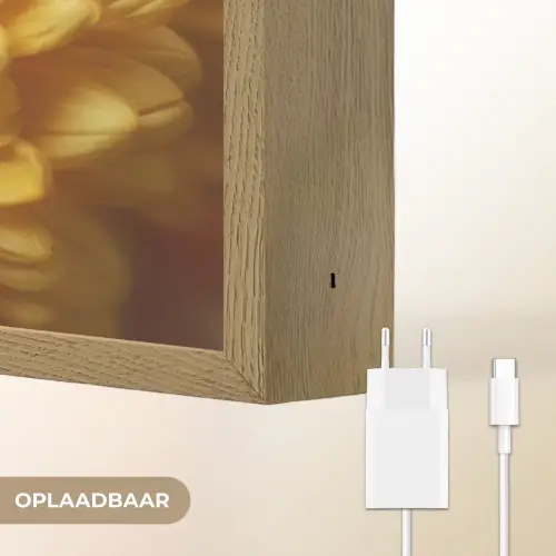 Geel - Chrysant - Zachtheid Light Box met batterij (Wandlamp) middel -USP_websiteoplaadbaarNL