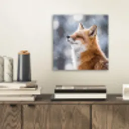 Vos - Sneeuwval - Portret - Winter - Sfeervol aluminium wit klein -sfeer1