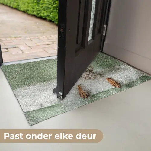 Hond - Bad - Champagne - Handdoek Deurmat klein -USP_NL