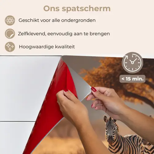 Zebra's - Savannelandschap - Gras keuken achterwand spatscherm klein -spatscherm_NL