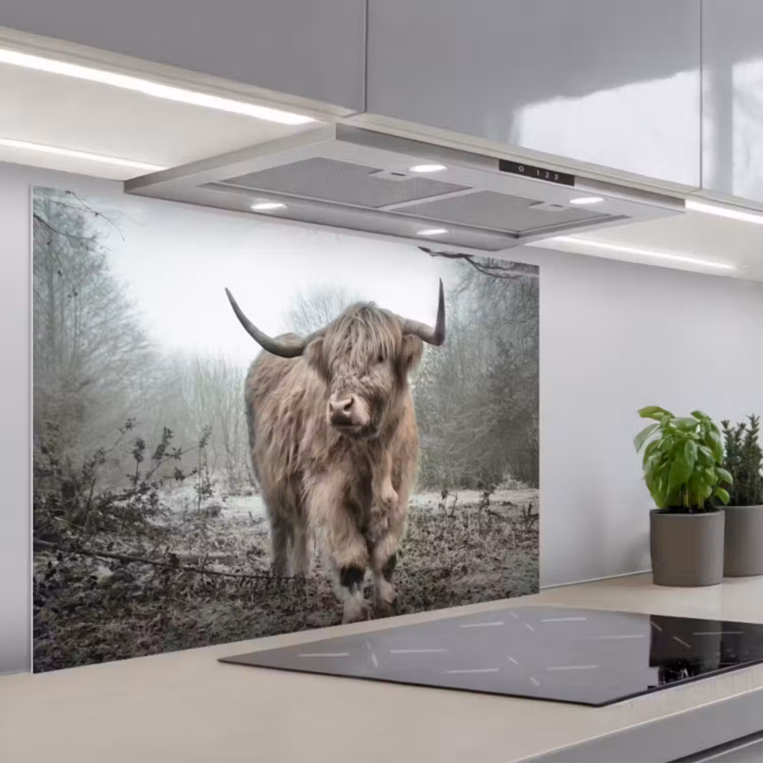 Spatscherm keuken - Schotse hooglander - Natuur - Herfst - Dieren - Wild - Bos
