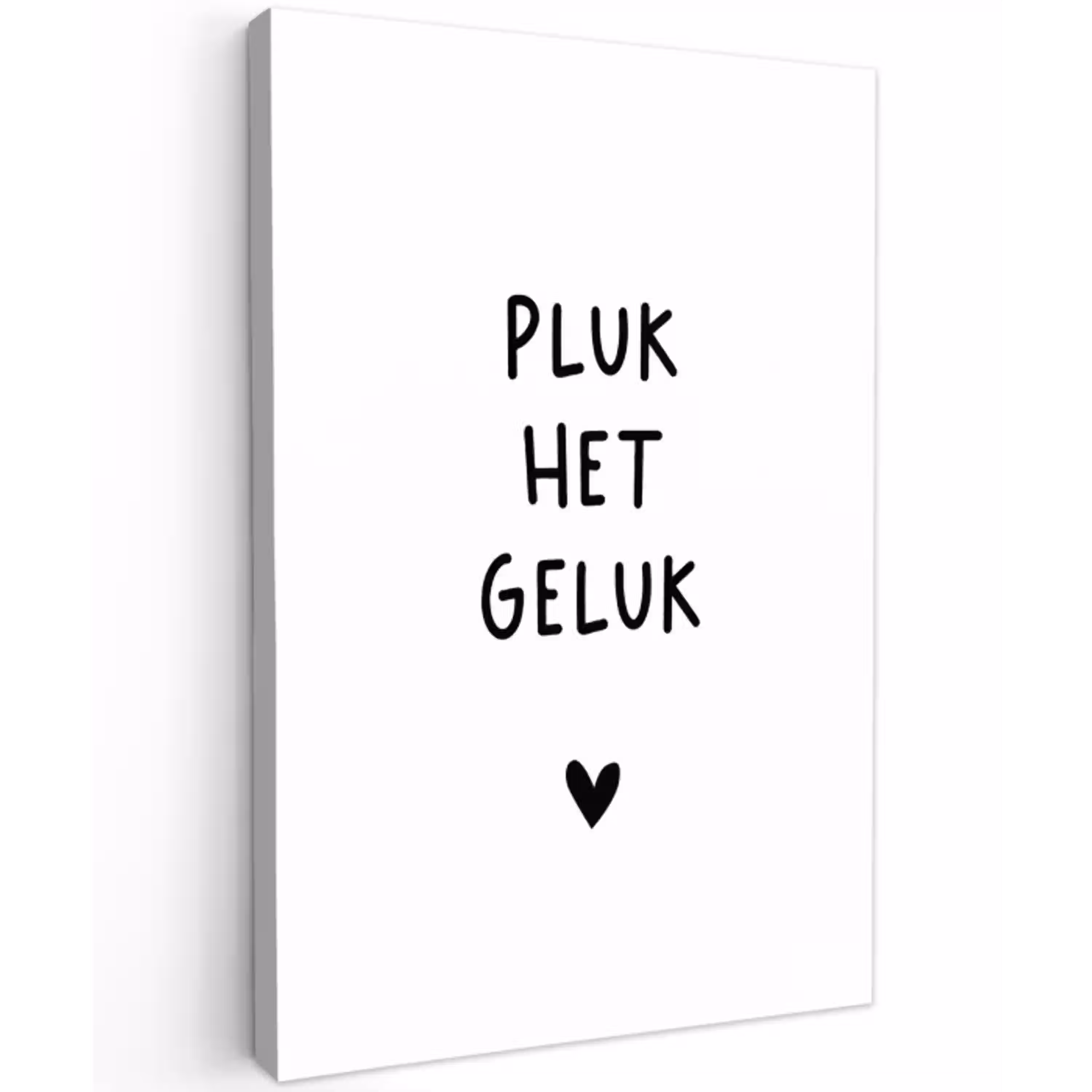 Pluk het geluk - Quotes - Spreuken Tuinposter op houten frame 2 cm dik klein -3d