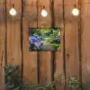 Hortensia- Park - Pad tuinposter los doek klein -sfeer1