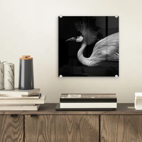 Kraanvogel - Zwart - Wit - Vogel - Dieren plexiglas 5mm klein -sfeer1