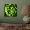 Groente - Sla - Groen aluminium wit klein -sfeer2