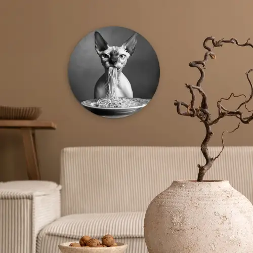 Sphynx - Kat - Dieren - Humor - Spaghetti - Zwart Wit Wandcirkel plexiglas klein -sfeer1