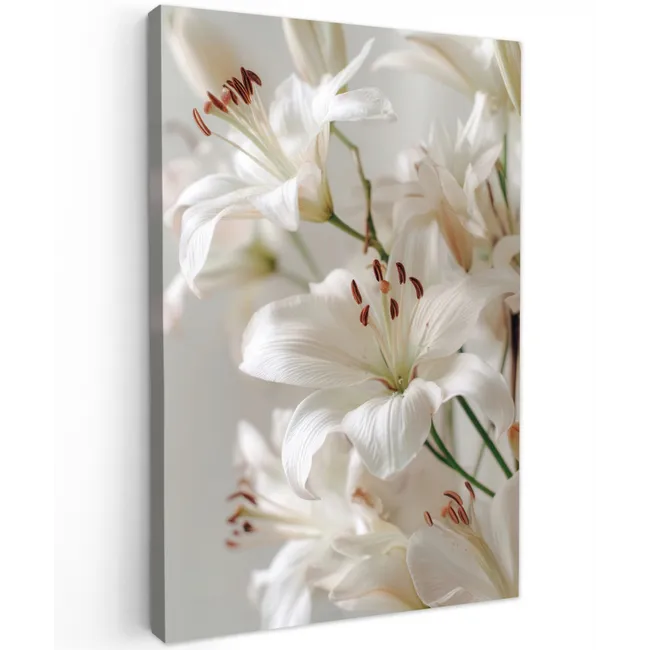 Lelies - Boekte - Wit - Meeldraden canvas 2cm klein -z3d