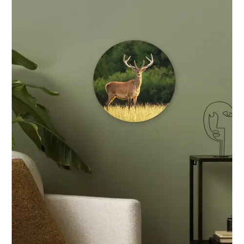 Hert - Gewei - Gras - Natuur - Dieren - Groen Wandcirkel kunststof plaat 5mm dik klein -sfeer3