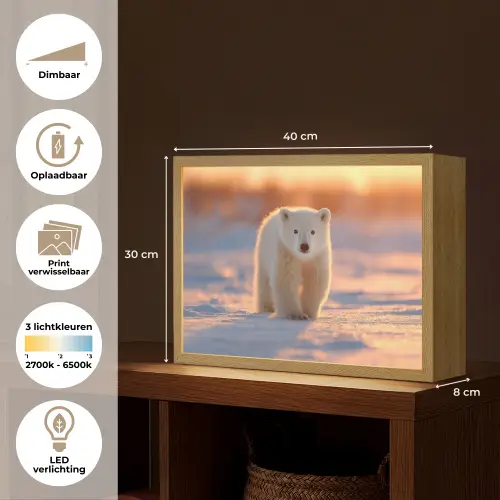 Ijsbeer - Sneeuw - Zonsopgang Light Box met batterij (Wandlamp kind) middel -USP_websiteoverzichtNL
