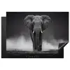 Olifant - Zwart - Wit - Rook Inductie beschermer vinyl 3mm klein -3d