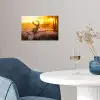 Hert - Dieren - Zonsondergang - Winter - Heide - Natuur poster papier klein -sfeer3