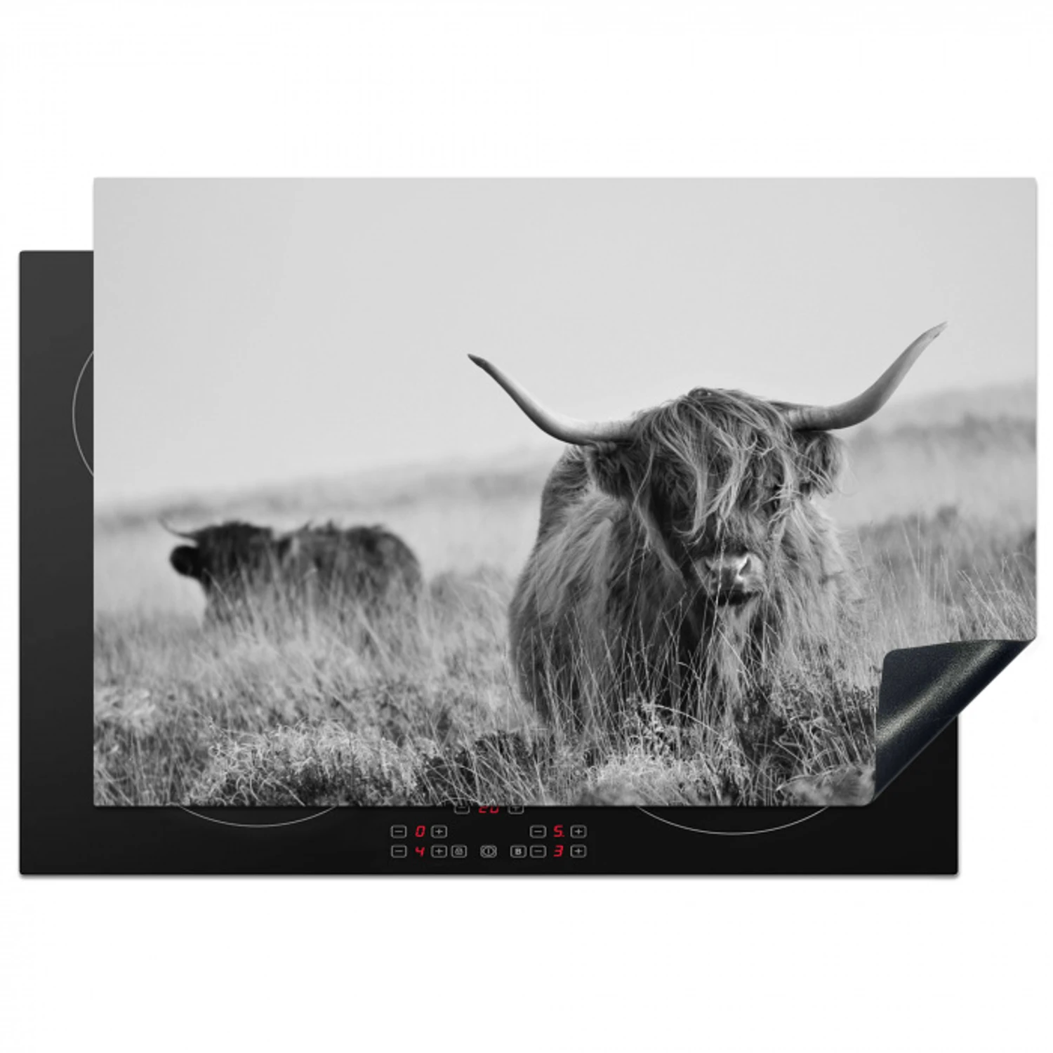 Schotse Hooglander in Monochroom Inductie beschermer vinyl 3mm klein -3d