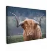 Schotse Hooglander - Koeienkop - Landschap - Natuur - Koe canvas 2cm klein -z3d