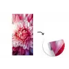 Dahlia - Bloem - Close up - Roze fotobehang vinyl groot -3d