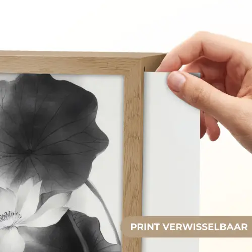 Lotusbloemen - Vissen - Bladeren - Zwart Light Box met batterij (Wandlamp) middel -USP_websiteprintNL
