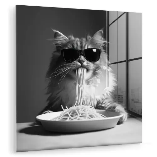 Langharige kat - Zonnebril - Spaghetti - Humor - Zwart - wit plexiglas 5mm klein -zzzproduct_nieuw