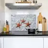 Zeesterren - Water - Helder Inductie beschemer met haakjes klein -sfeer2