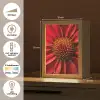 Close up - Bloem- Rood Light Box met kabel (Tafellamp) klein -USP_NL