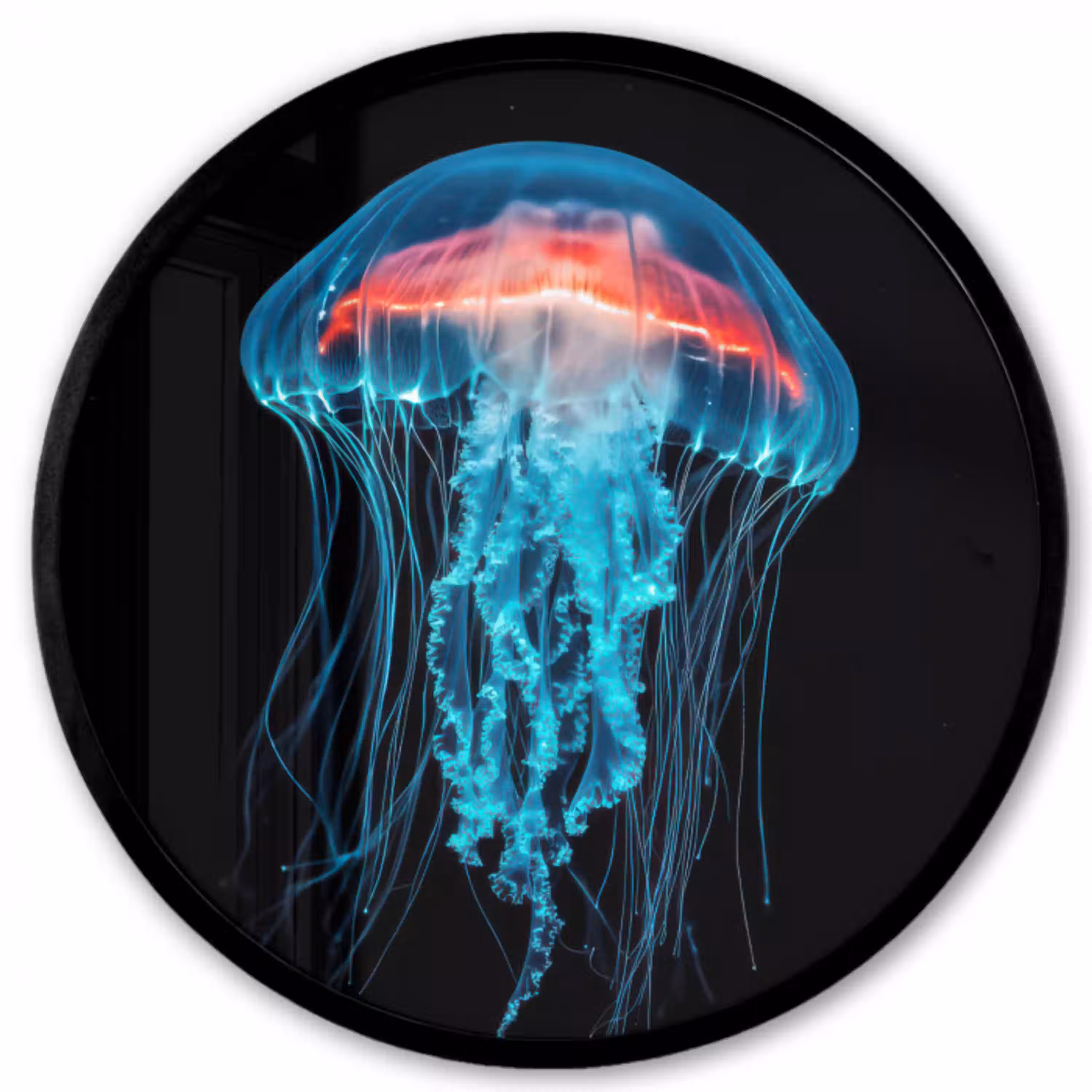 Kwal - Tentakels - Blauw - Licht Fotolijst rond zonder passe partout klein -3d