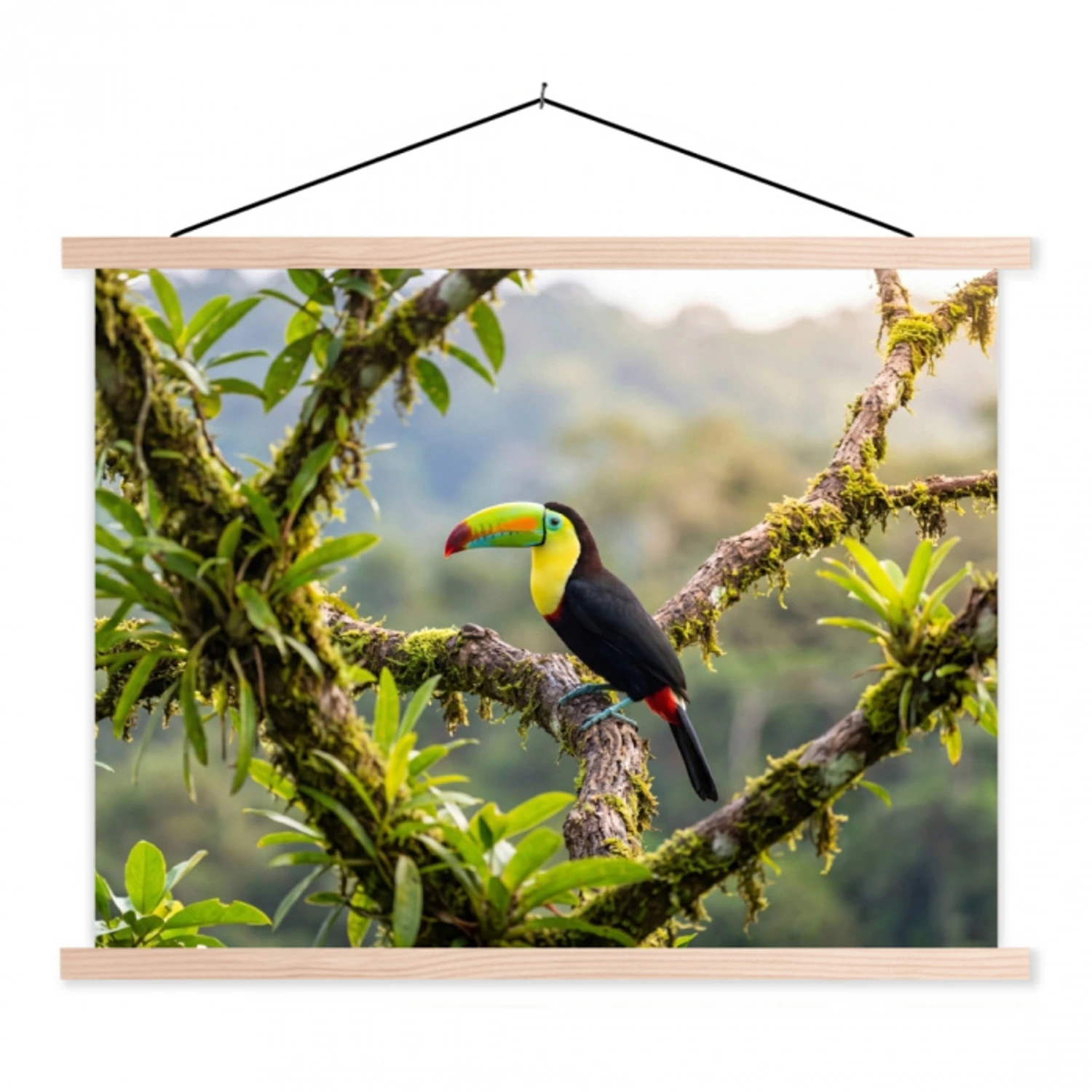 Toekan - Jungle - Natuur - Kleurrijk textielposter latten blank klein -3d