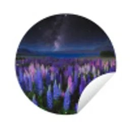 Bloemen - Nacht - Lupine - Sterrenhemel - Paars - Natuur Wandcirkel tuinposter met ringen klein -3d