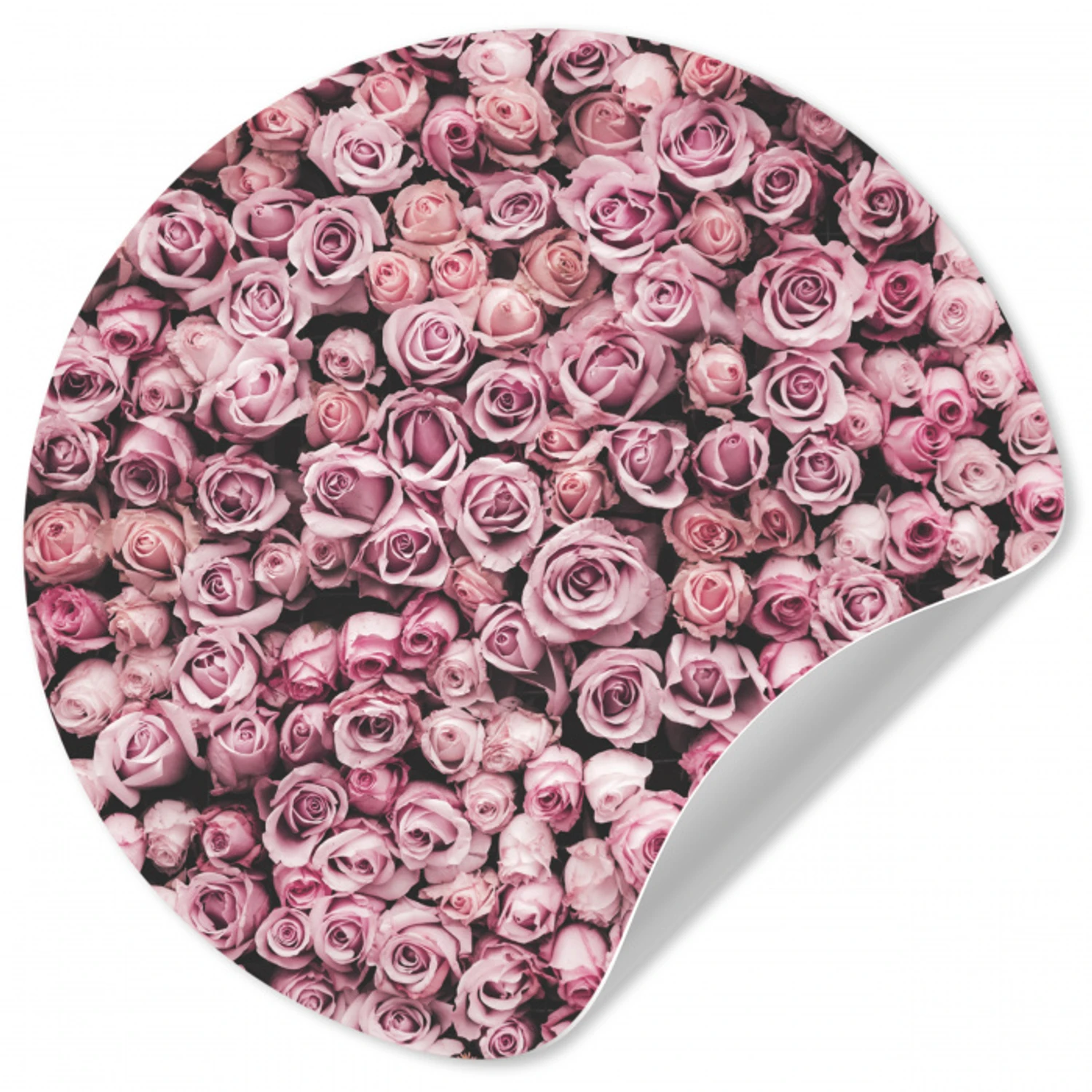 Bloemen - Rozen - Natuur - Roze - Botanisch Wandcirkel behangsticker klein -3d