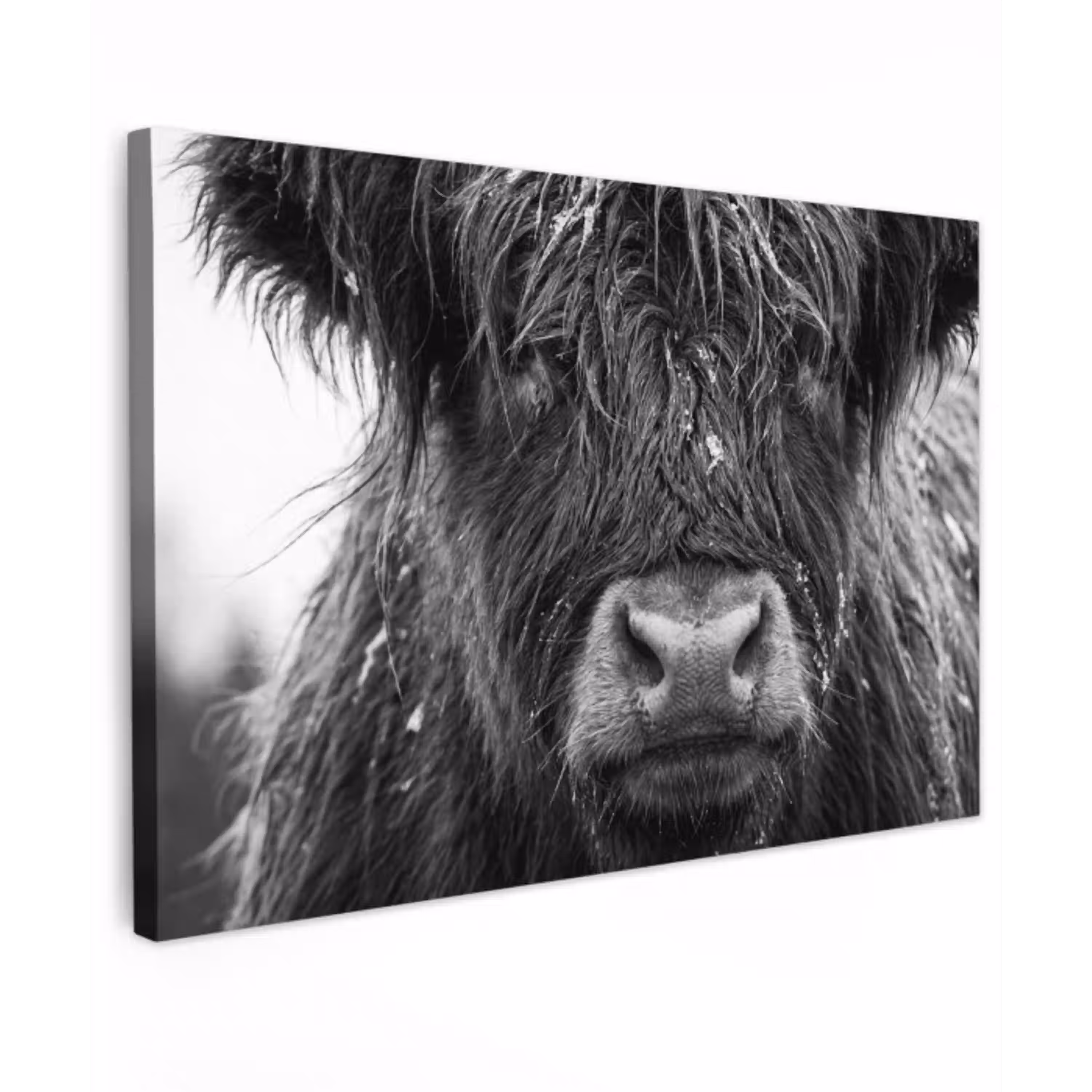 Schotse hooglander - Zwart - Wit - Sneeuwvlokken canvas 2cm klein -z3d