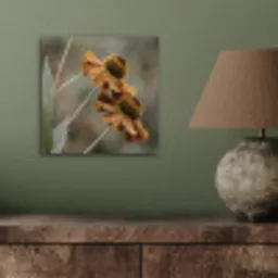 Zonnehoed - Droogbloemen - Geel - Warm aluminium wit klein -sfeer2