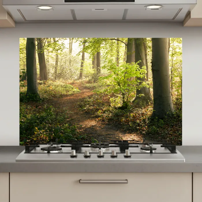 Bos - Bomen - Pad - Zon - Planten - Bladeren - Natuur keuken achterwand spatscherm klein -3d_website