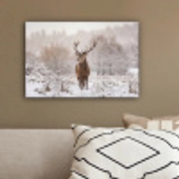 Edelhert - Bos - Sneeuw - Winter - Majestueus canvas 2cm klein -sfeer3