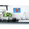 Ballonnen - Goud - Stervorm - Roze Muursticker klein -keuken
