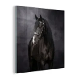 Portret - Paard - Zwart plexiglas 5mm klein -z3d