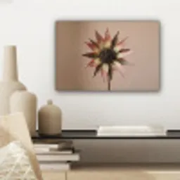 Droogbloem - Protea - Vintage - Beige - Rustiek canvas 2cm klein -sfeer6