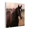Paard - Zonsondergang - Bruin plexiglas 5mm klein -z3d