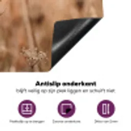 Schermbloem - Droogbloem - Winter - Beige - Minimalistisch Inductie beschermer vinyl 3mm klein -zzzzzzz-cc-onderkant
