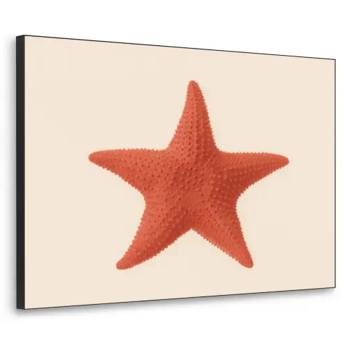 Zeester - Bobbels - Rood Textielframe zwart klein -3d