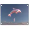 Dolfijn - Roze - Astronaut tuinposter los doek klein -3d